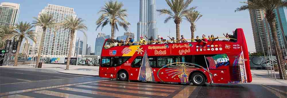 City Sightseeing 24 Hours Standard Ticket